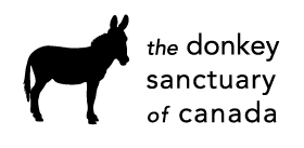 The Donkey Sanctuary of Canada Logo